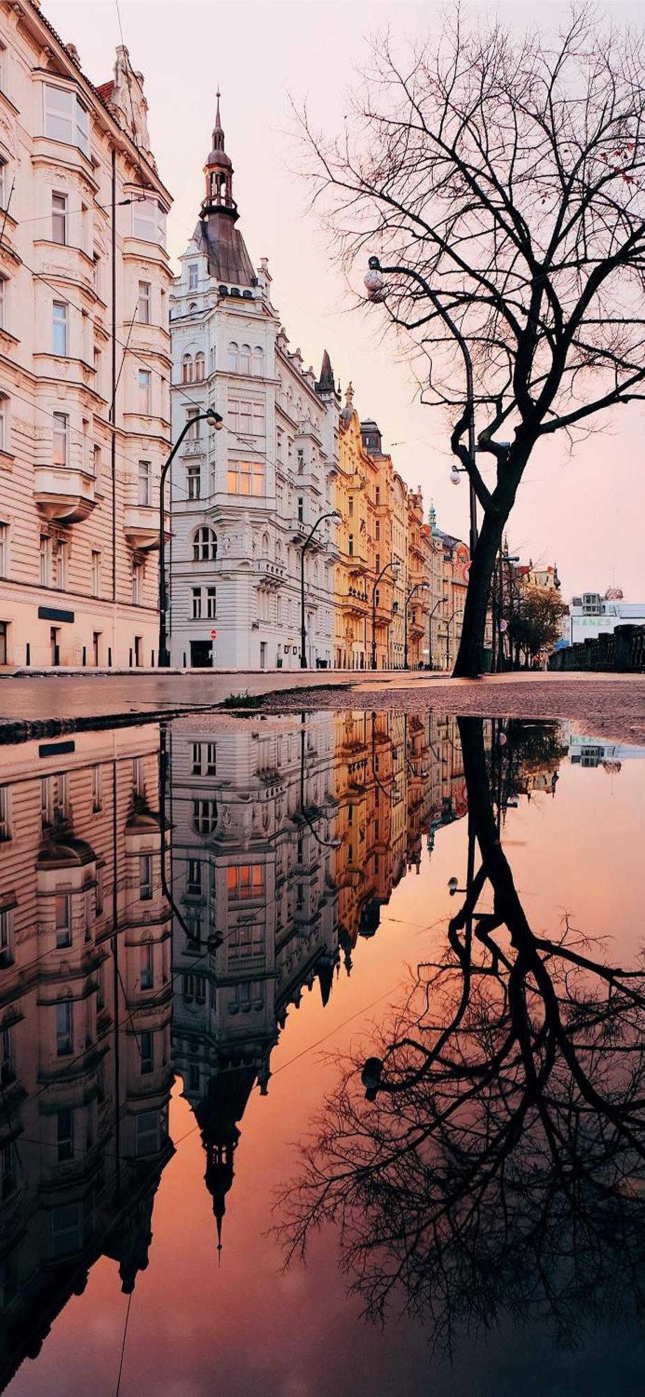 Center Of Prague Apartment 369 ภายนอก รูปภาพ